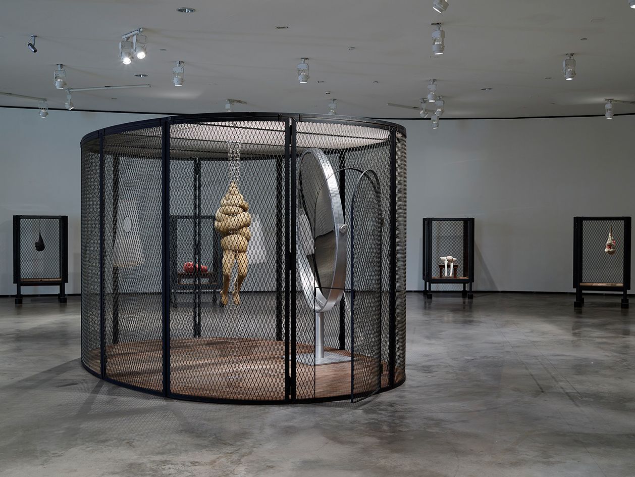 Louise Bourgeois: The Secret of the Cells: Crone, Rainer