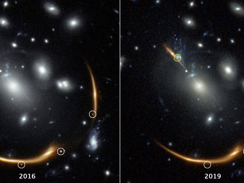 【requiem】 Requiem in Full Score – Dover Publications