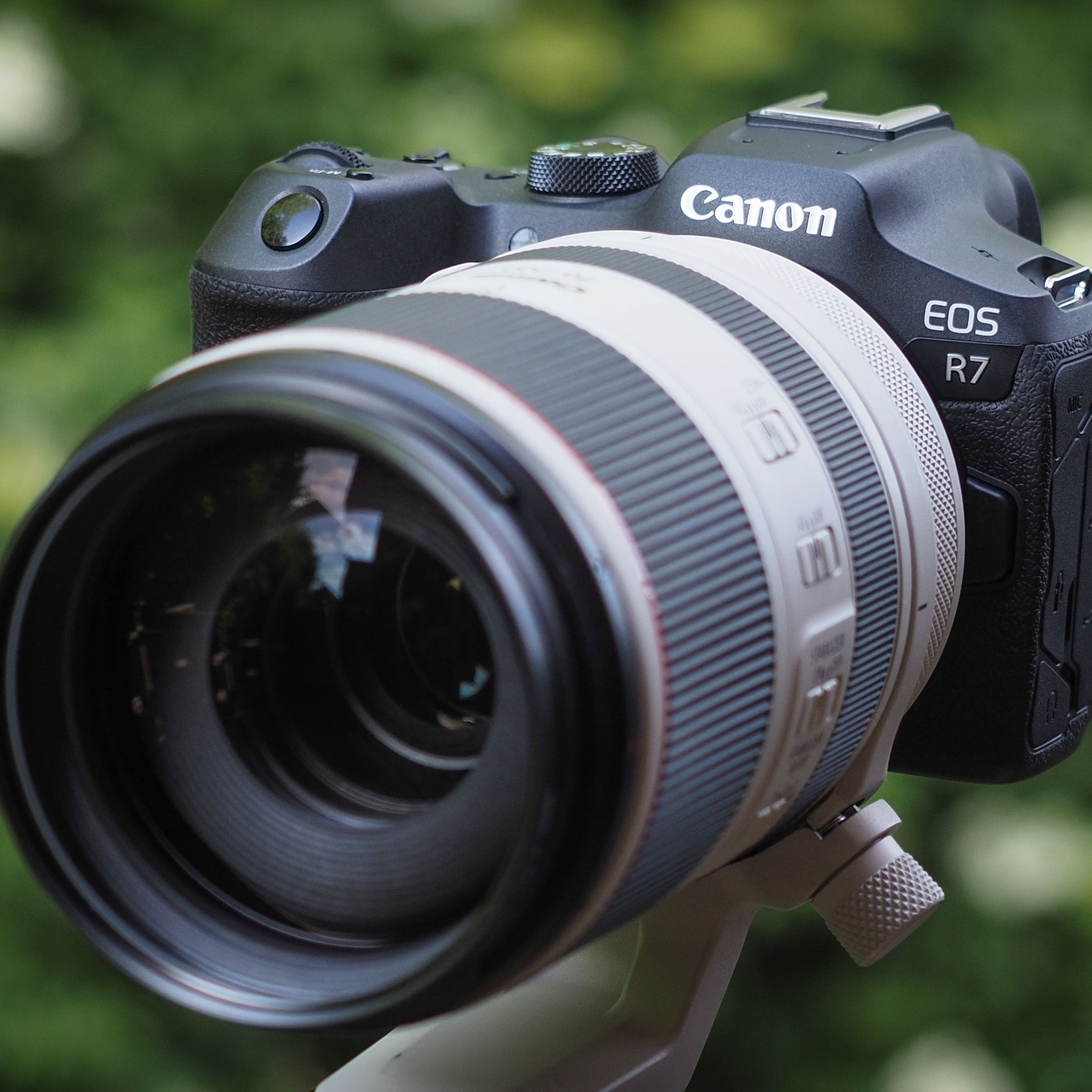 Canon - ＣＡＮＯＮ　ＥＯＳ　Ｒ７ Amazon.com : Canon EOS R7 Mirrorless Camera (Body Only