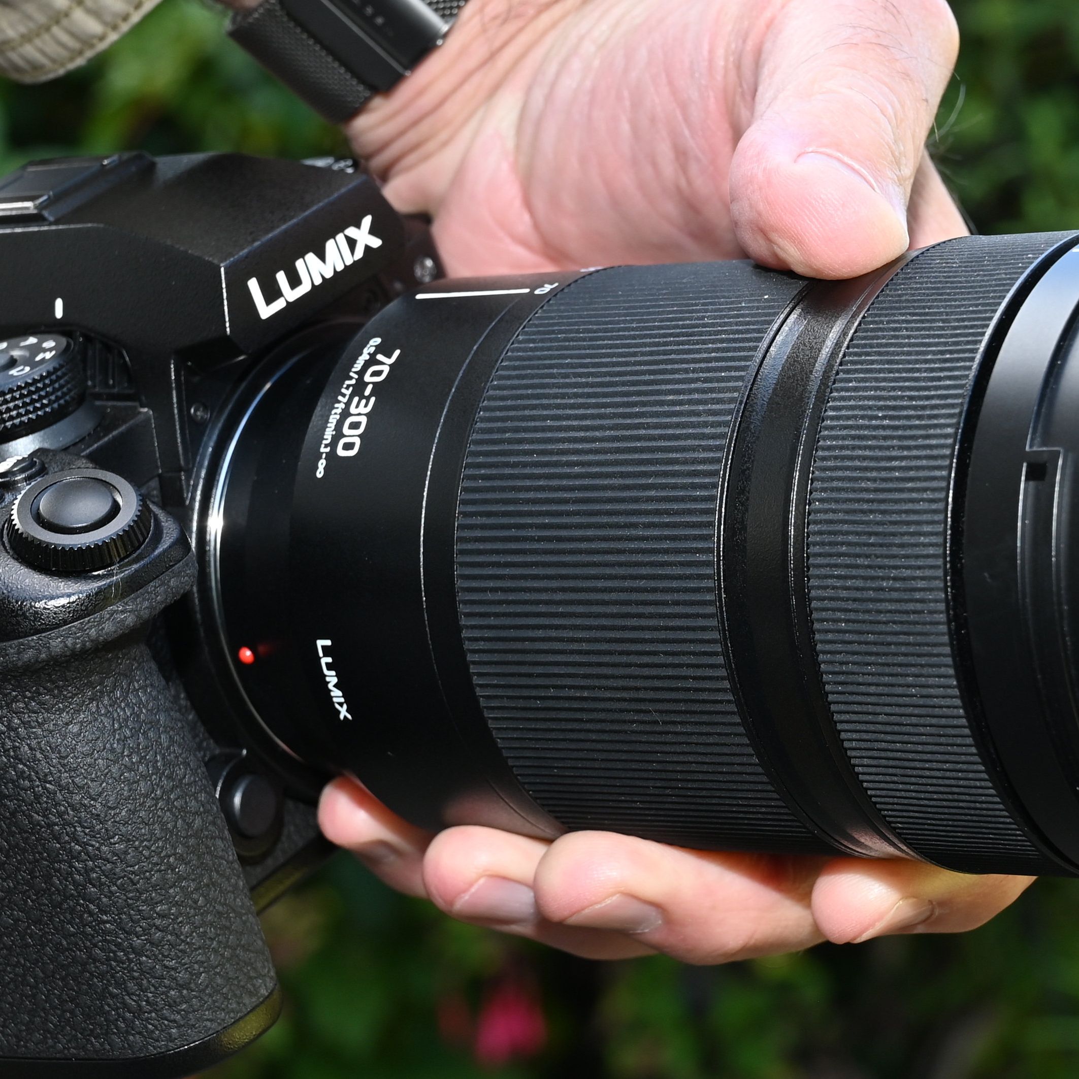 Panasonic Lumix S 70-300mm f/4.5-5.6 Macro O.I.S. review: a tele