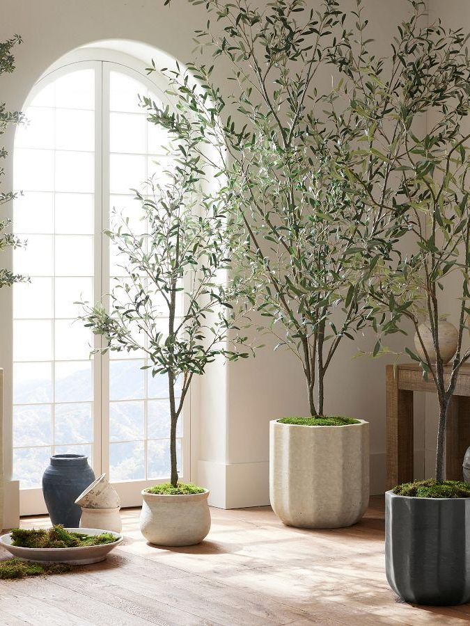 Faux Potted Olive Tree