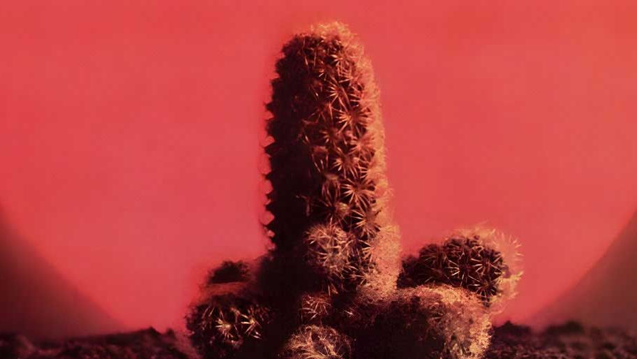Cactus: Cactus album review | Louder