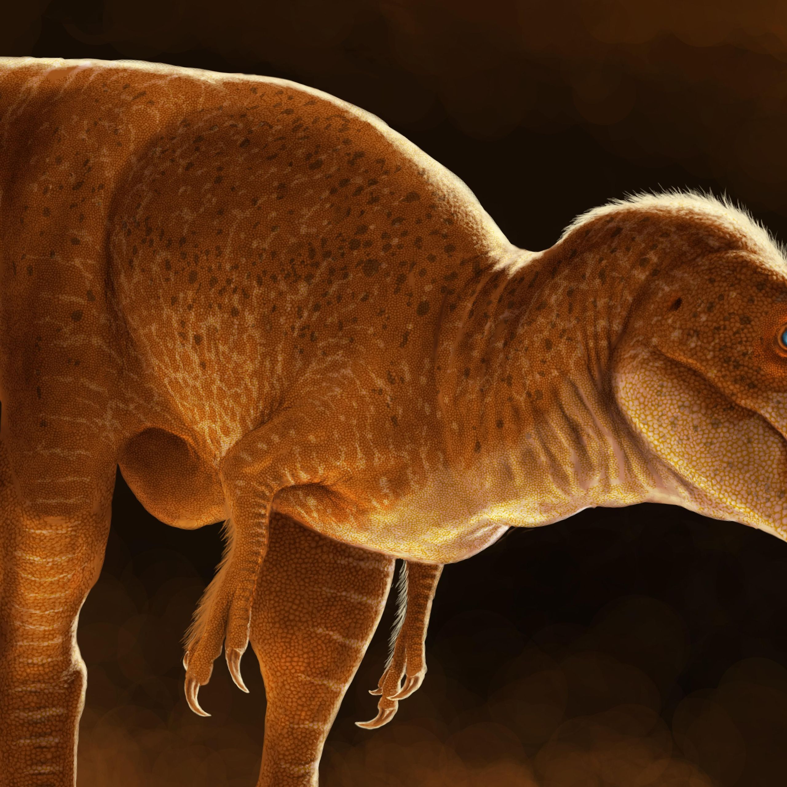 Meet 'Dragon prince' — the newly discovered T. rex relative that
