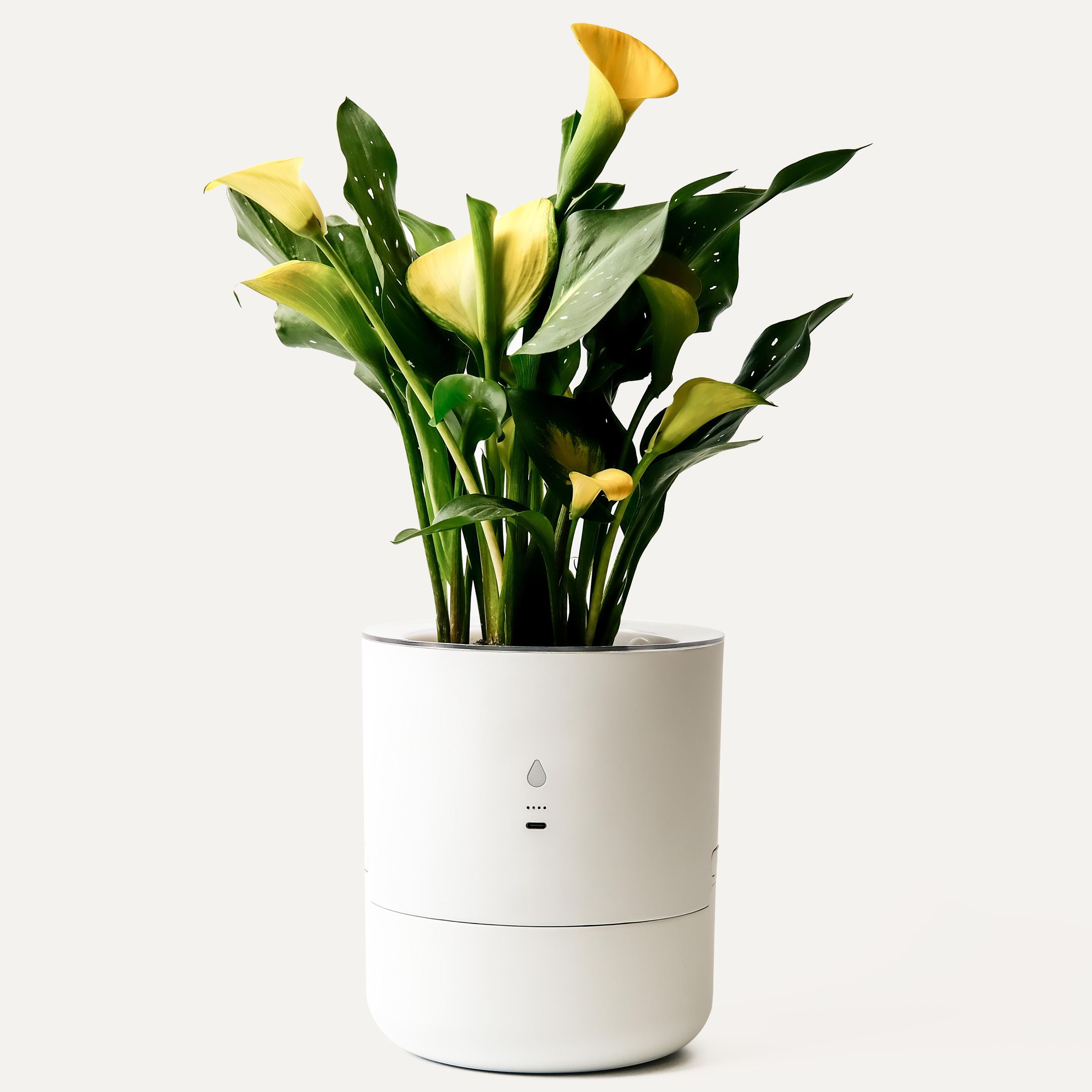 CES 2025: The Leafypod is a self-watering plant pot | Wallpaper*