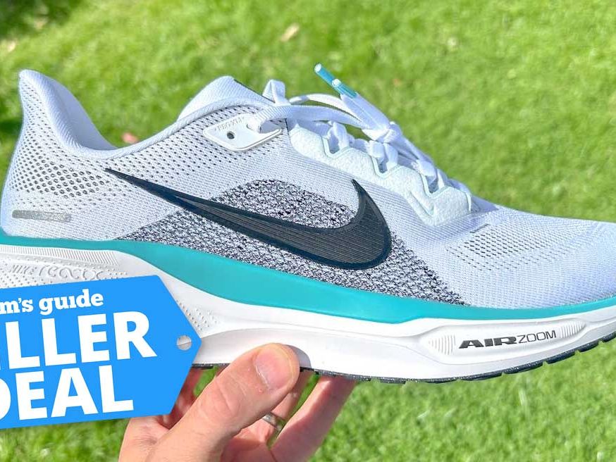 nike pegasus 35 dicks