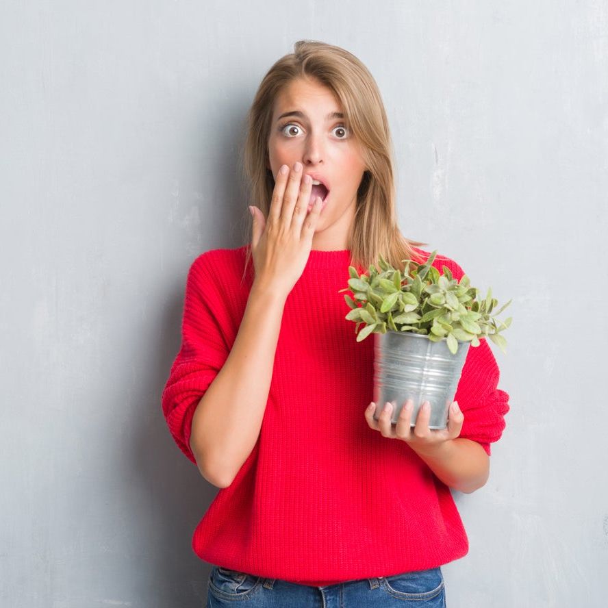 Can You Be Afraid Of Plants: Learn About Garden Phobias And Fear Of Plants  | Gardening Know How