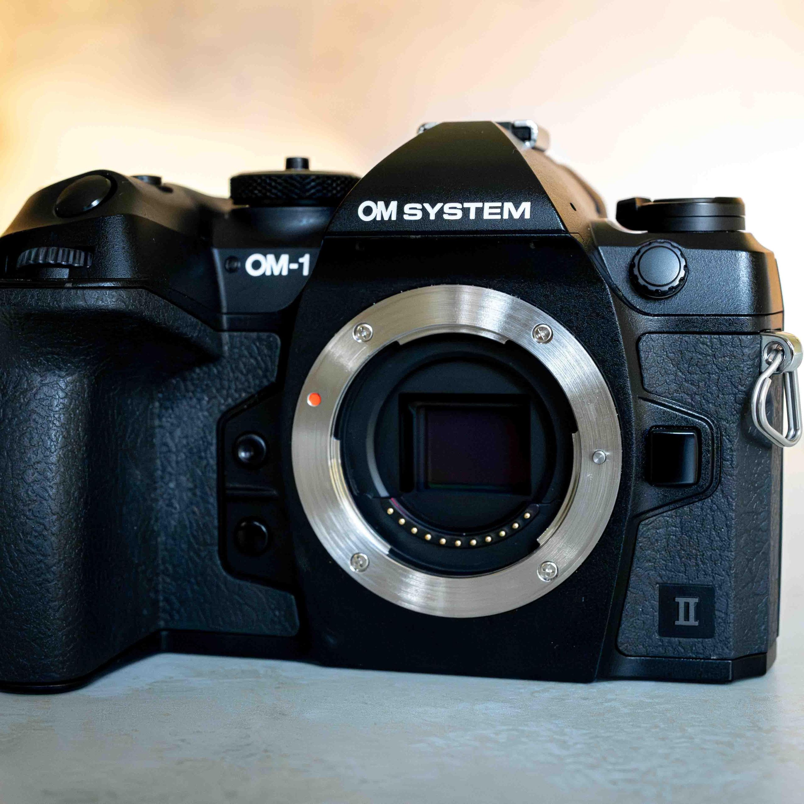 【ジャンク】OLYMPUS オリンパス OM-1 OM-2 OM-2N Amazon.com : OM SYSTEM Olympus OM-1 Mark II Micro Four Thirds
