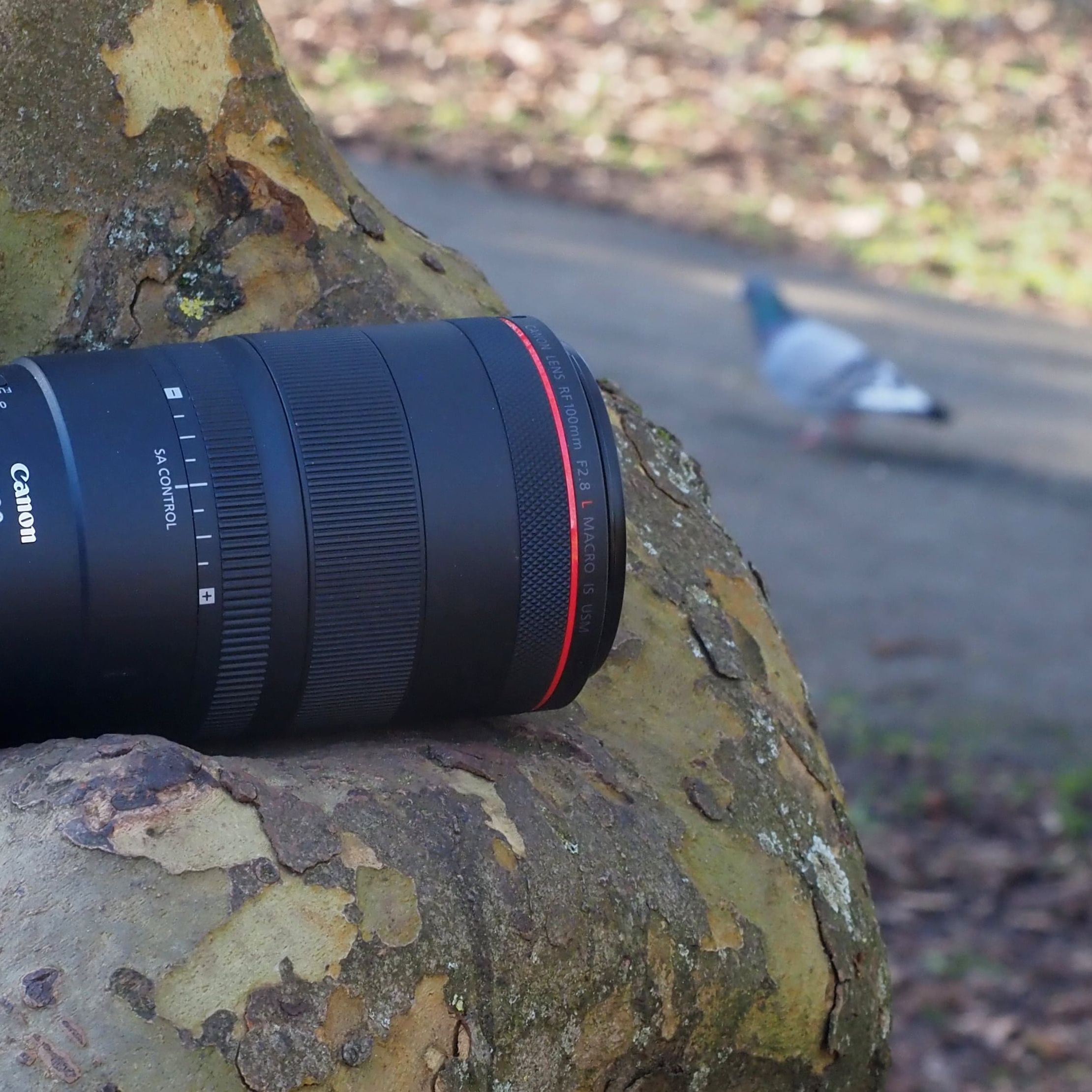Canon RF 100mm F2.8L Macro IS USM review - hidden depths | TechRadar