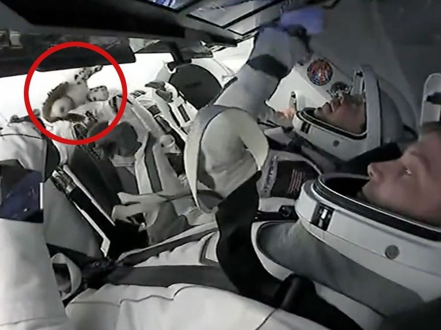 Crew-8's 'family dog' plush is SpaceX's latest zero-g indicator