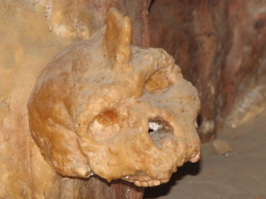 Mysterious 300,000-year-old Greek cave skull was neither human nor Neanderthal, study finds | Live Science