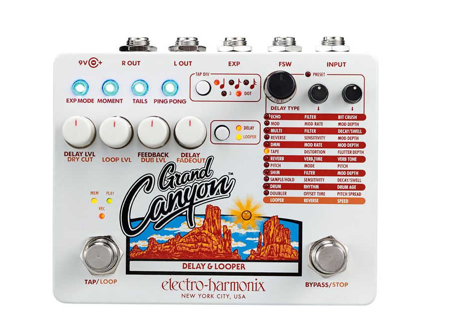 electro-harmonix Canyon tapswitch付き Canyon Delay & Looper | CANYON | Electro-Harmonix