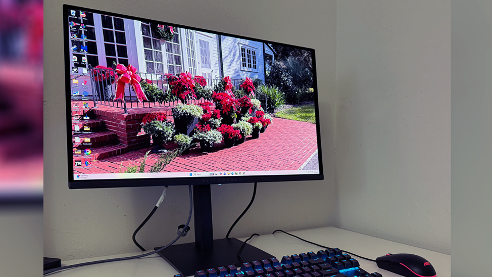 Brightness and Contrast - Alienware AW2726DM 27-inch QHD 240 Hz QD