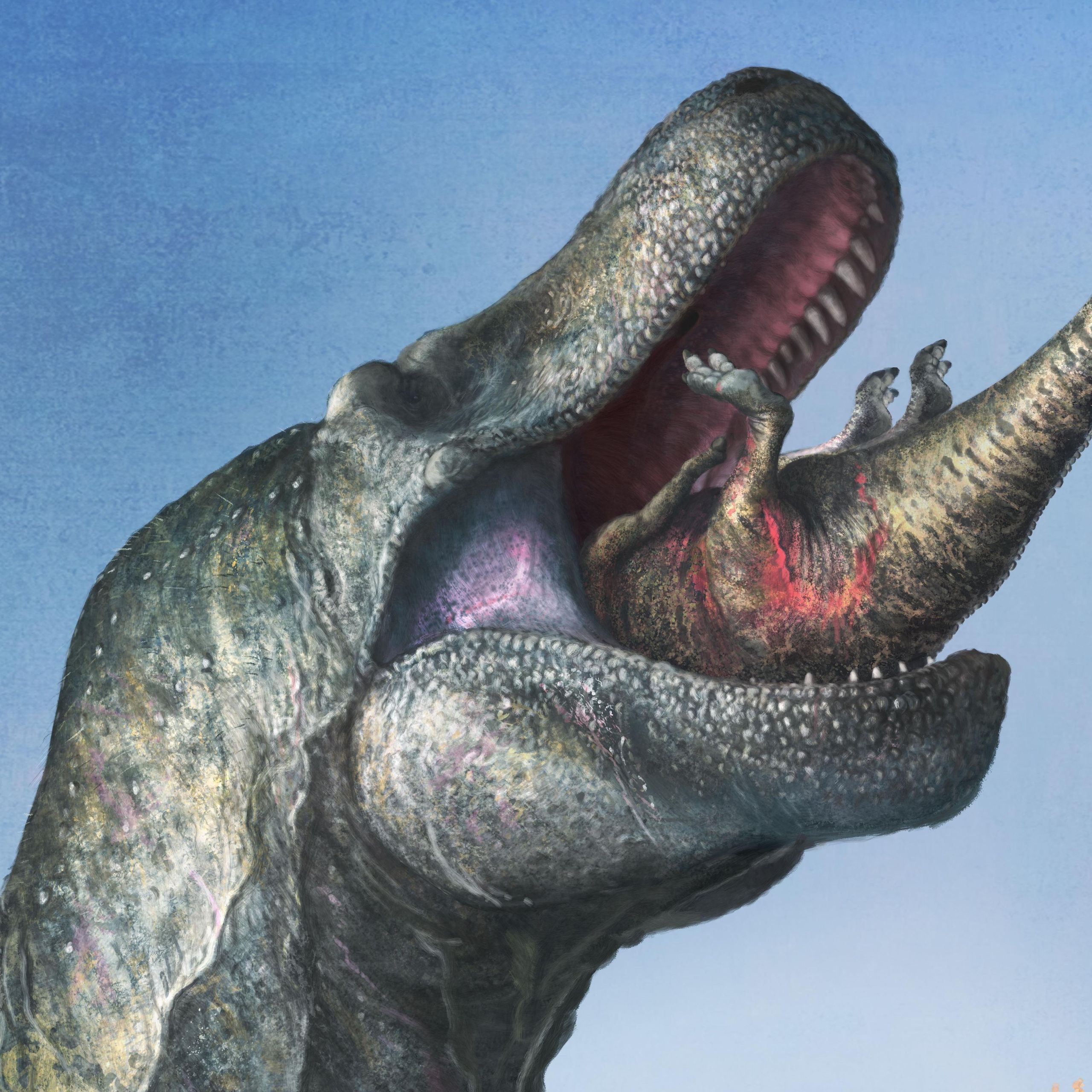 T. rex had thin lips and a gummy smile, controversial study