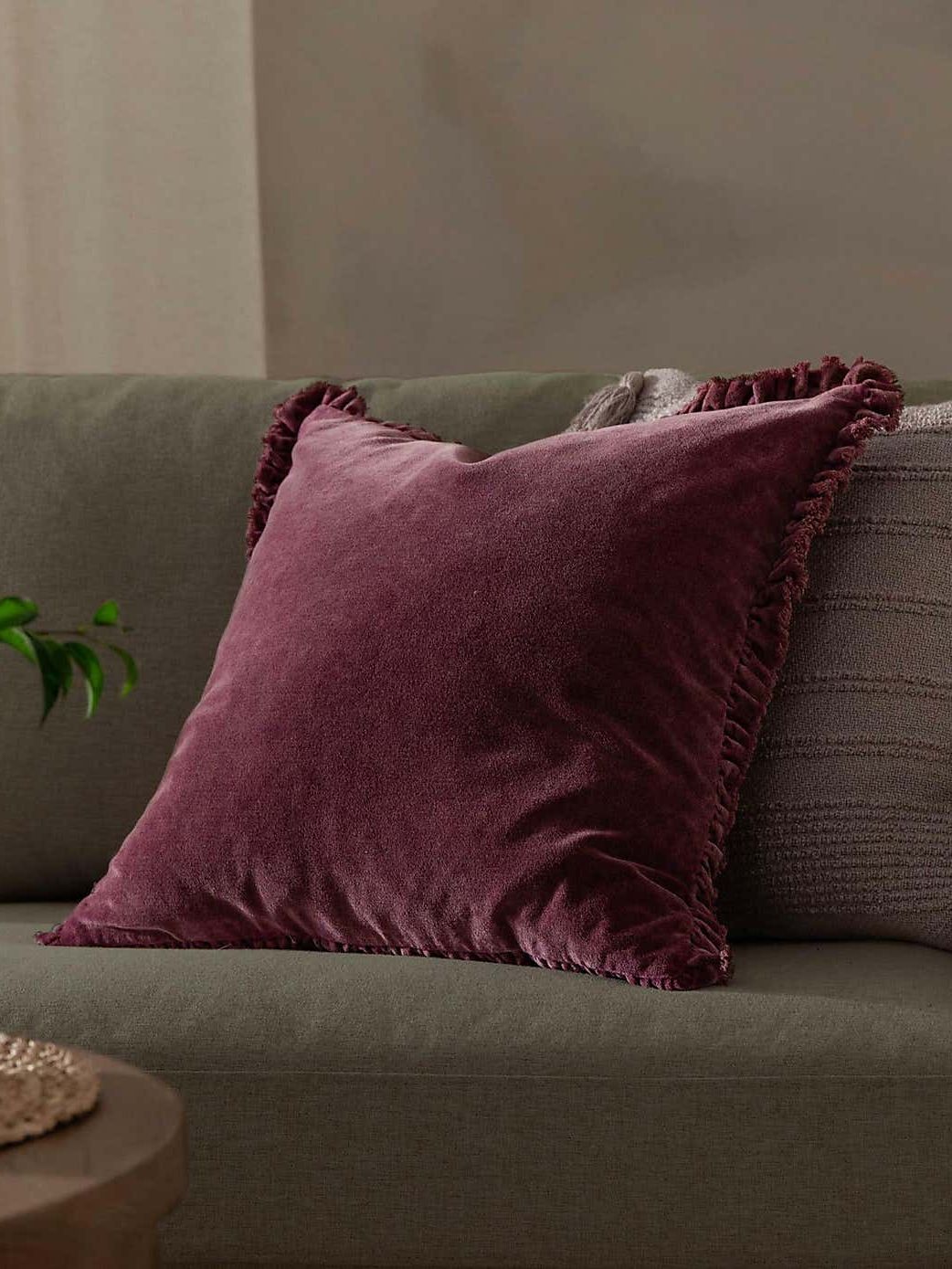 Dunelm, Bertie Velvet Square Cushion