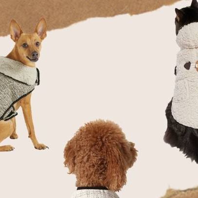 Chewy launches 'Coastal Grandmother' collection for pets PetsRadar