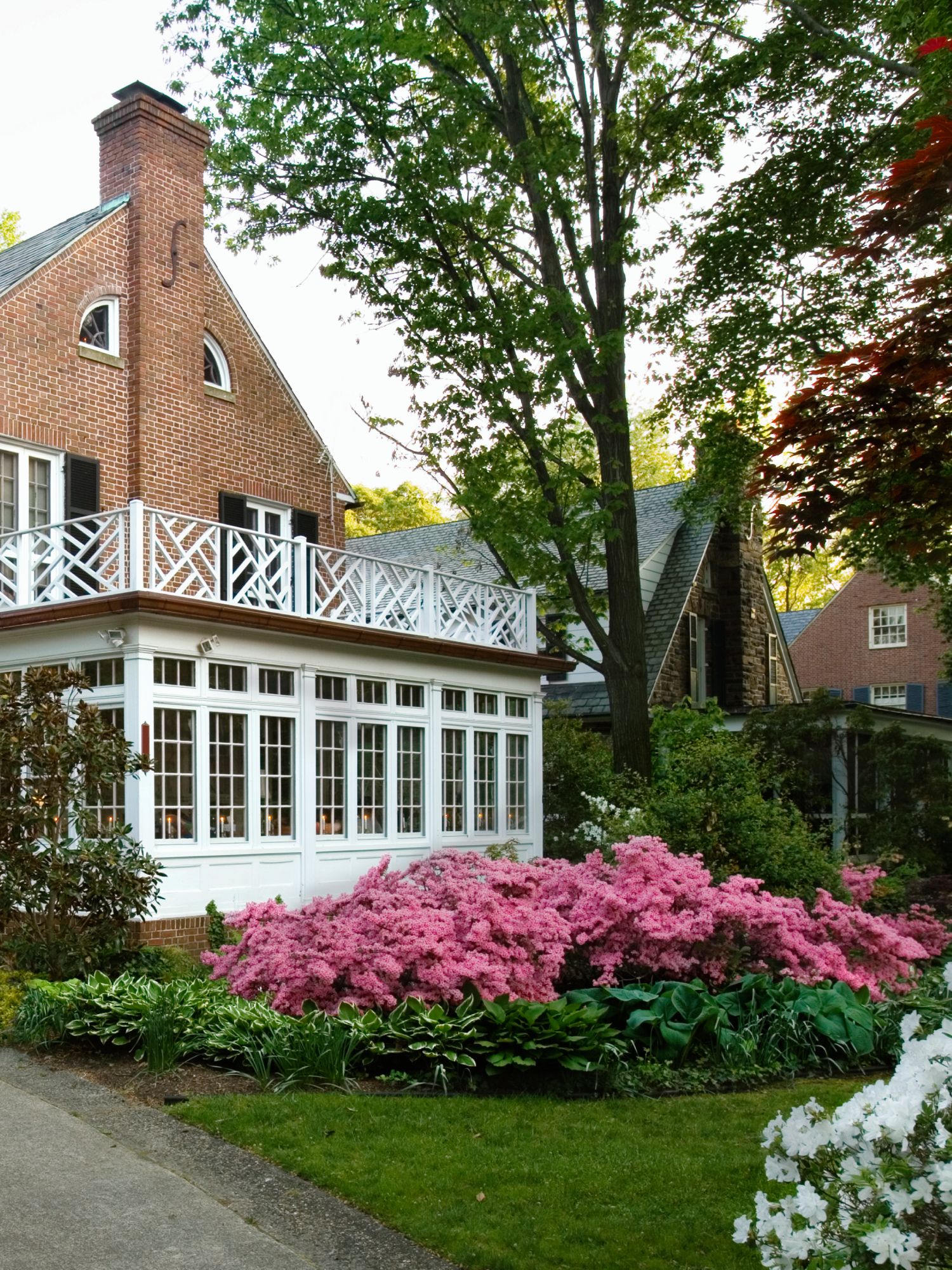 White azaleas and other pink flowering bushes in front of colonial style house