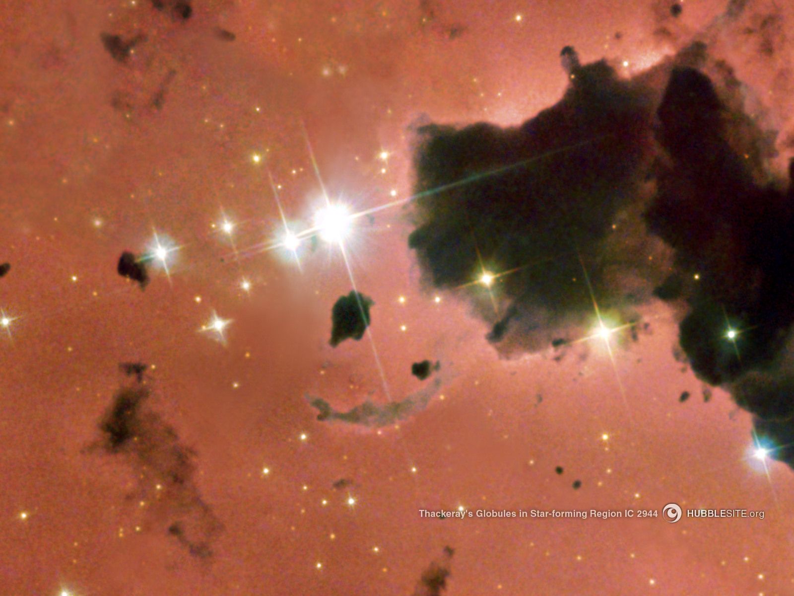 oct様 4E クロスゴムオパンケスニーカー （スニーカー）｜Miss Kyouko