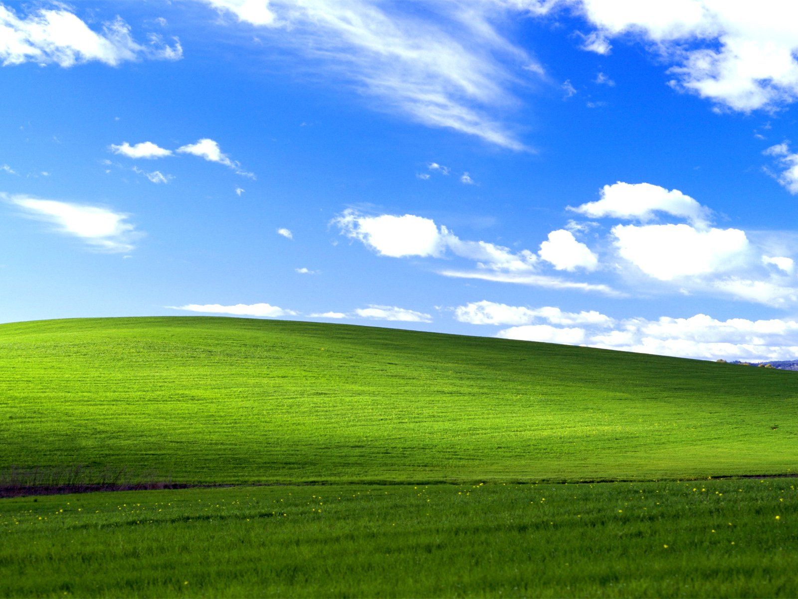 Windowsデスクトップ chachacha Alleged Windows XP source code leaked, spread on 4chan | Windows