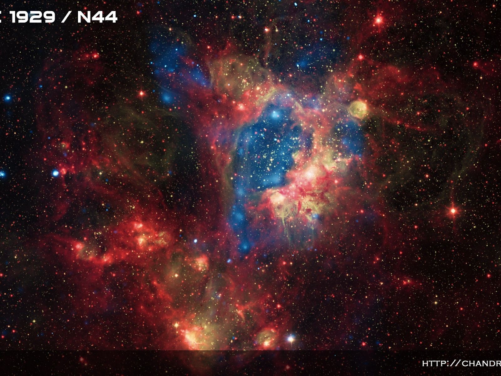 新品未開封　NEBULA BRIGHT IMAGE SEAMLESS YTwi5nyBuqHjmLVMtA2z6n.jpg