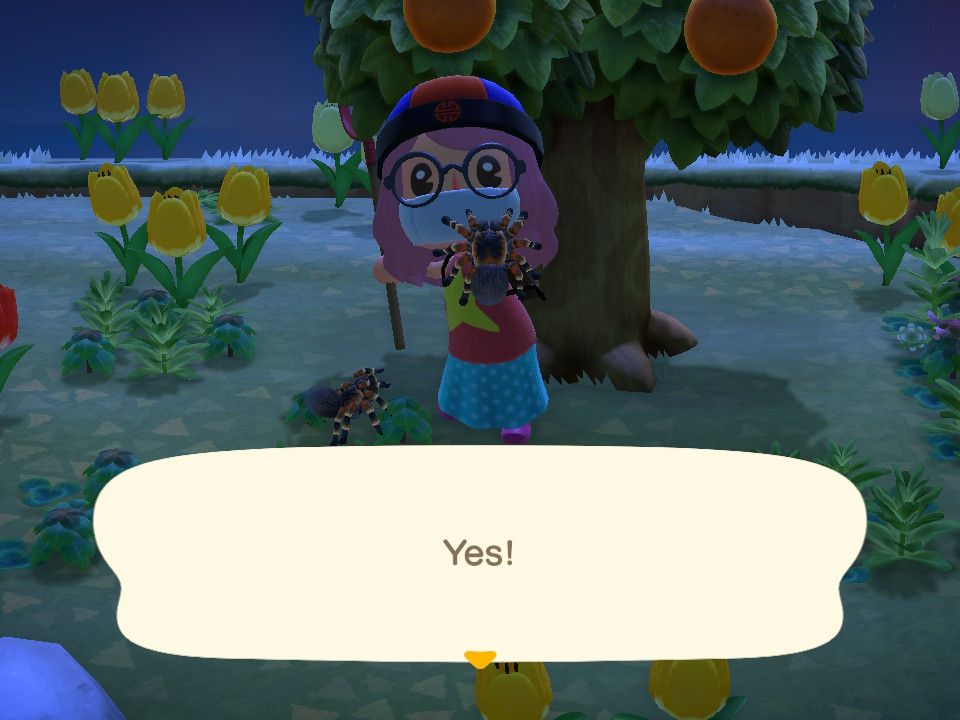 Animal Crossing: New Horizons — What can I do if I get injured