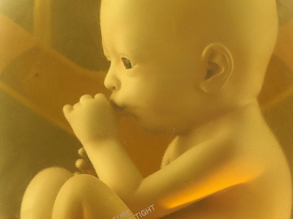 You can use this Death Stranding BB collectible as a lamp if you
