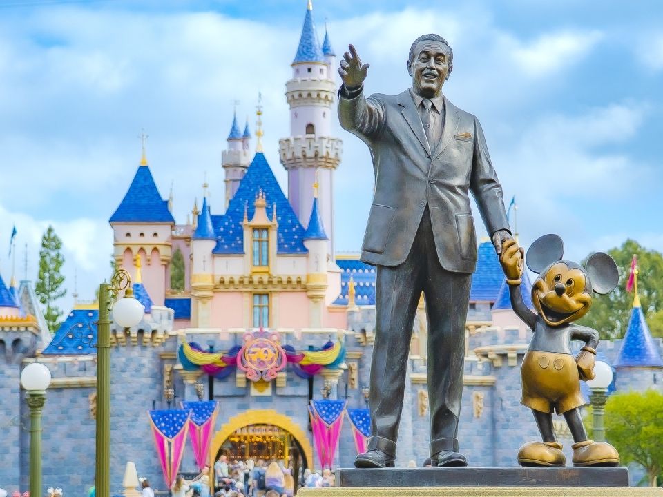 Someone Went Viral For Using Their Disneyland Annual Pass To Hit