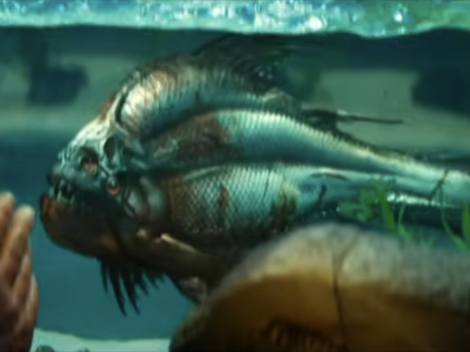Scène De Nage De Piranha 3d