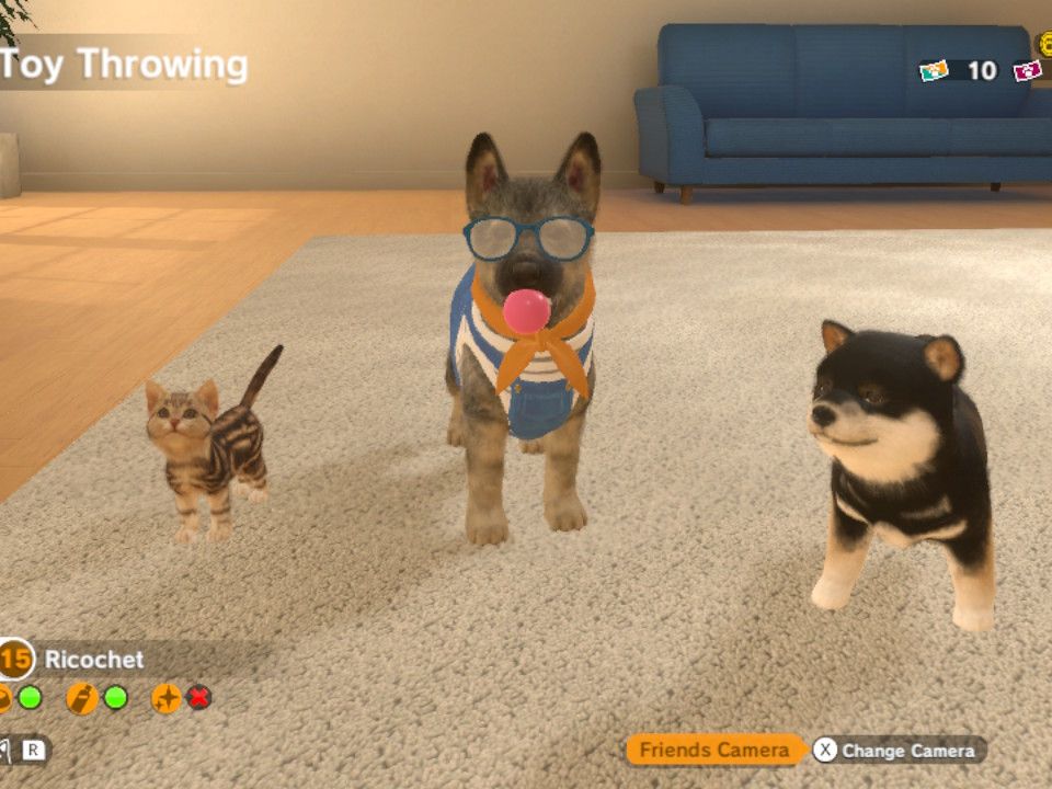 Amazon.com: Little Friends: Dogs & Cats (Nintendo Switch