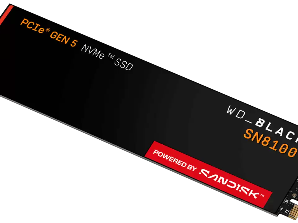 内蔵型SSD 510287 Western Digital WD BLACK M.2 1TB 41PiQxCFXqL._AC_UF350,