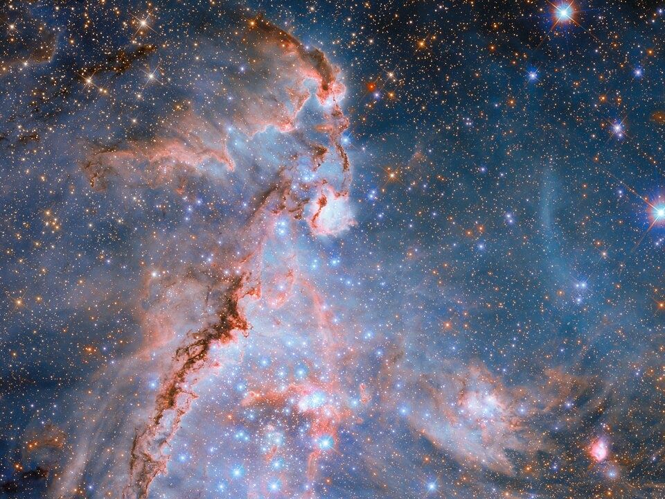 STAR ハーベスター nr3McwfCR7BLsPFBF5CKEJ.jpg