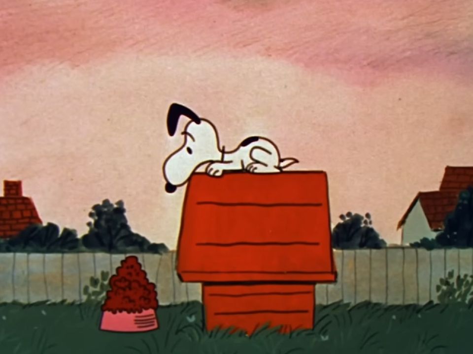 Peanuts Just Turned 75, And This LEGO Snoopy Set Is The Perfect