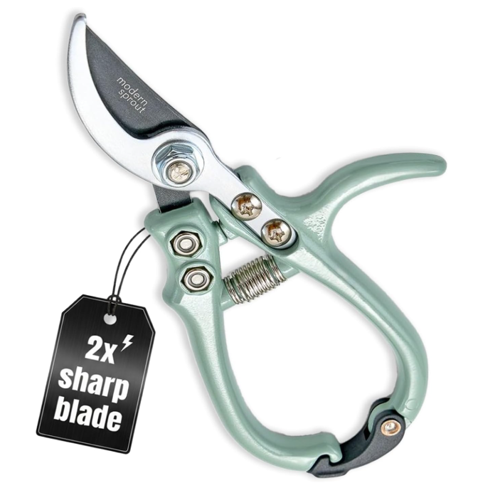 Amazon hand pruners in blue