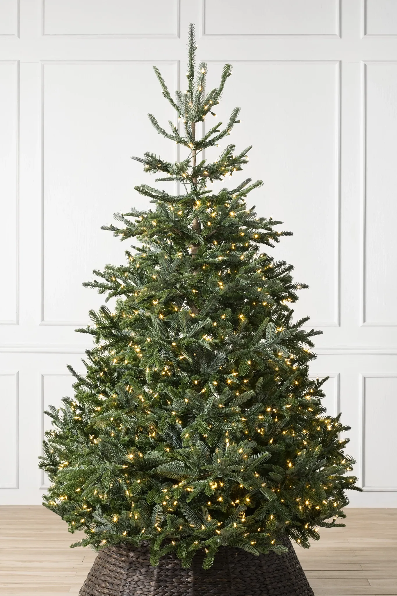 Balsam Hill, Nordmann Fir Tree