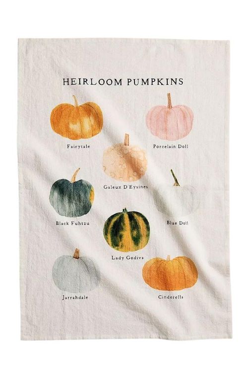 May We Fly Heirloom Pumpkins Dish Towel