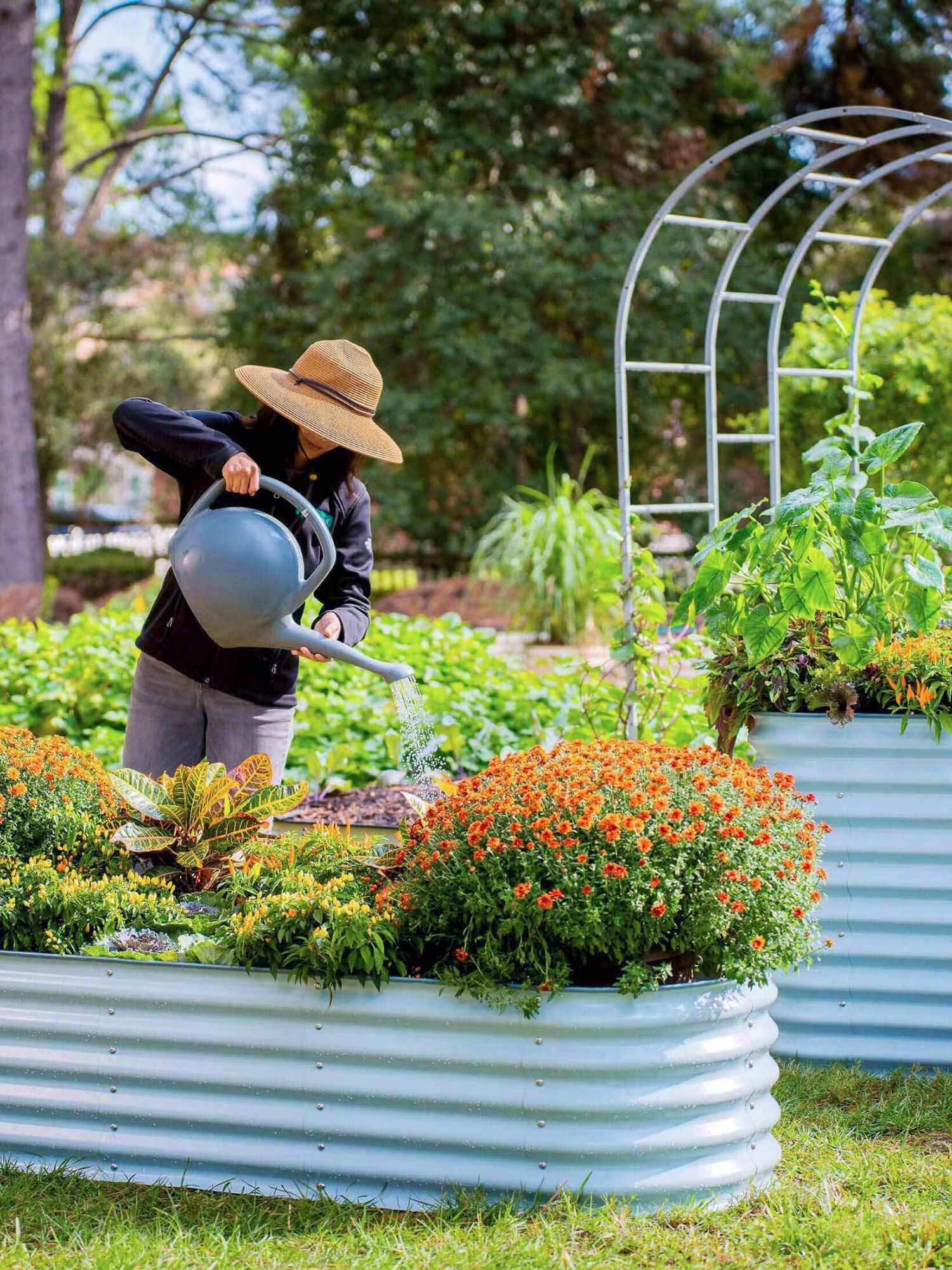 A woman in a sunhat waters flowers in a raised vego bed with a watering can