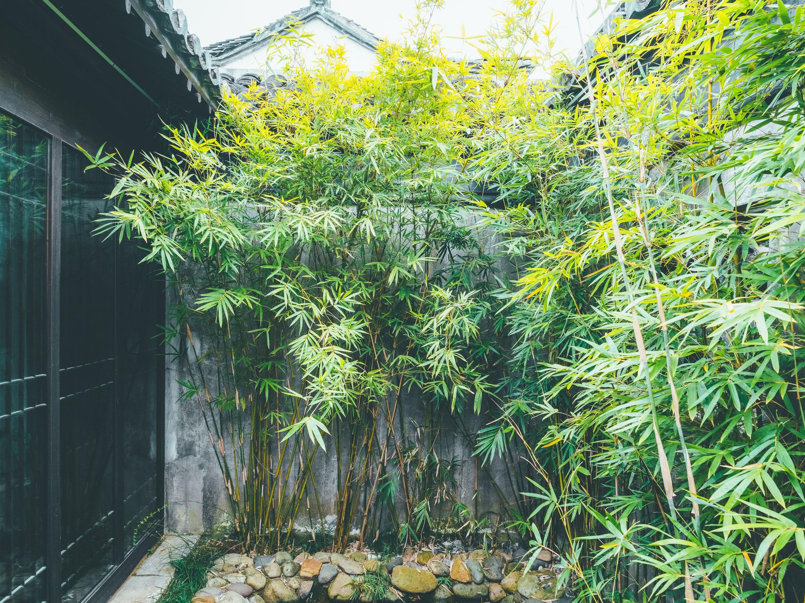 plant moss pole Transparent D-Shaped Moss Pole