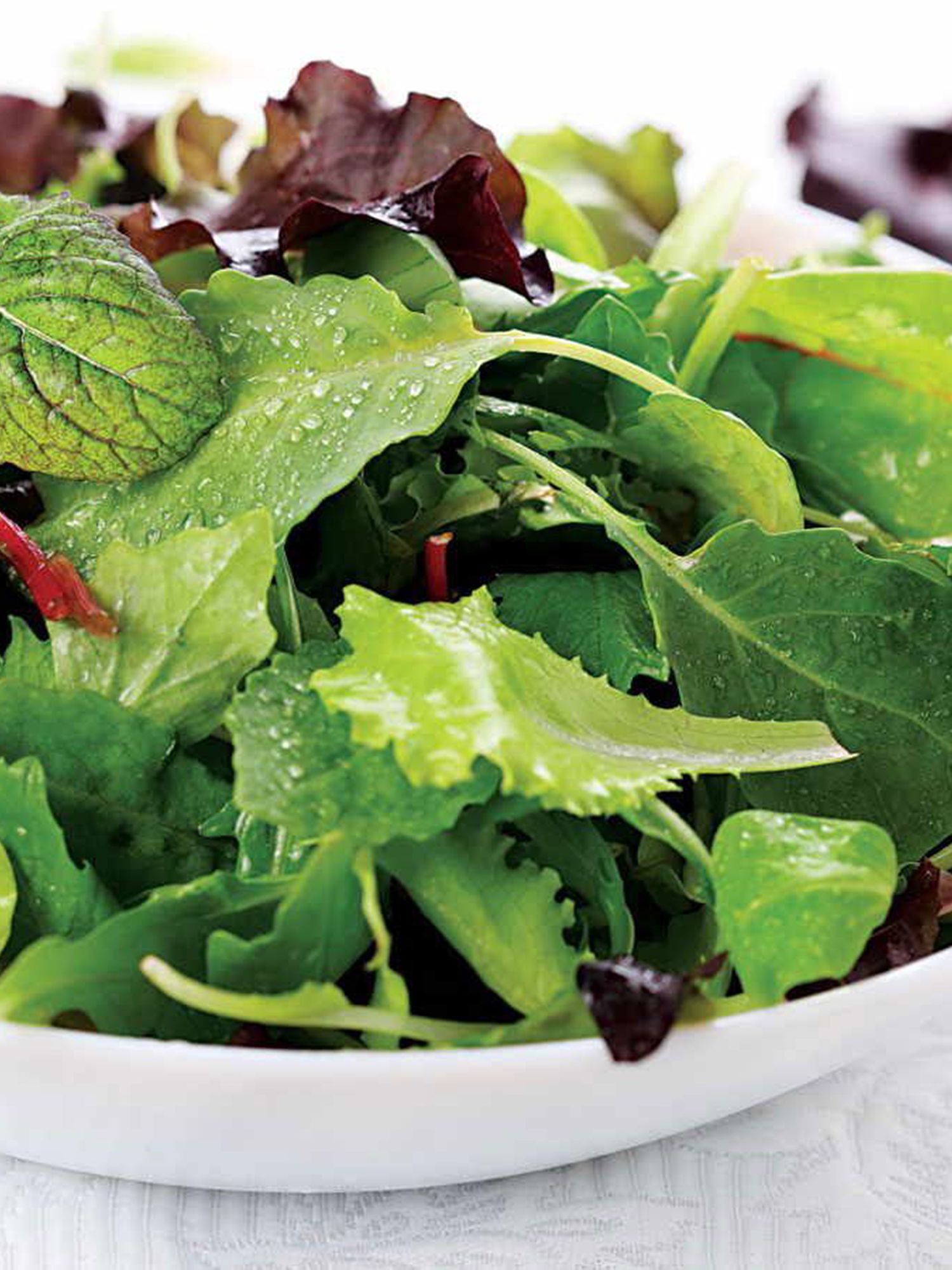 Salad Bowl Mix organic lettuce