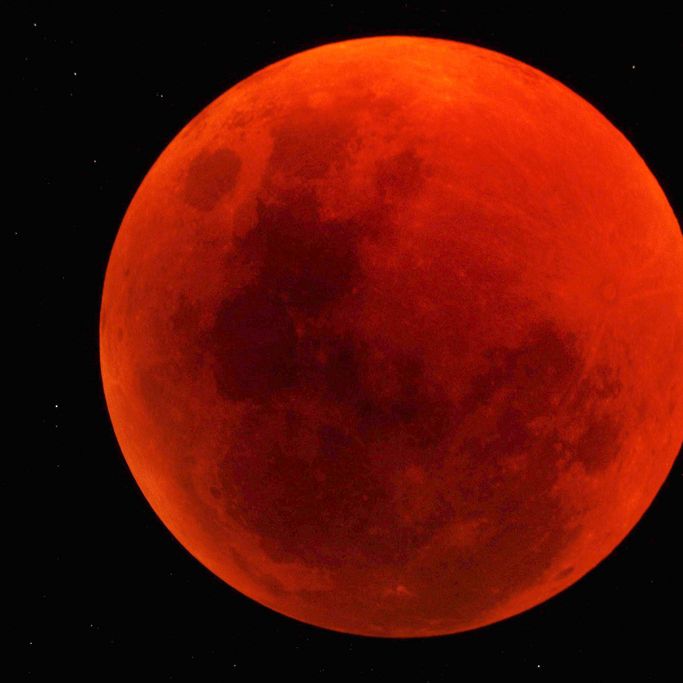 【D1様用】HORDES OF THE LUNAR ECLIPSE Lunar, Solar Eclipses Headline April Skywatching Calendar | Space