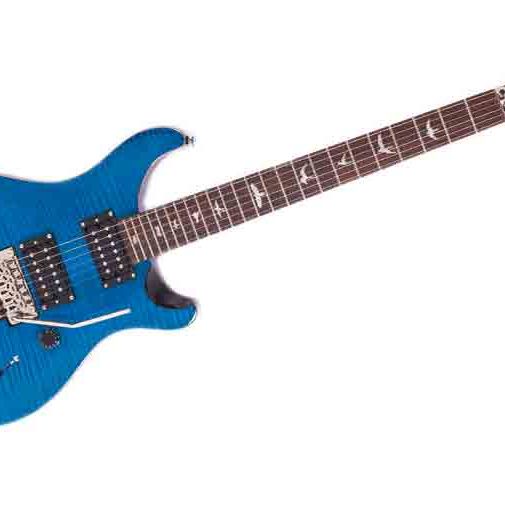 ​【極美品】PRS SE Custom 24 Floyd / Rose a52defa924527b6dfc748b93a43096