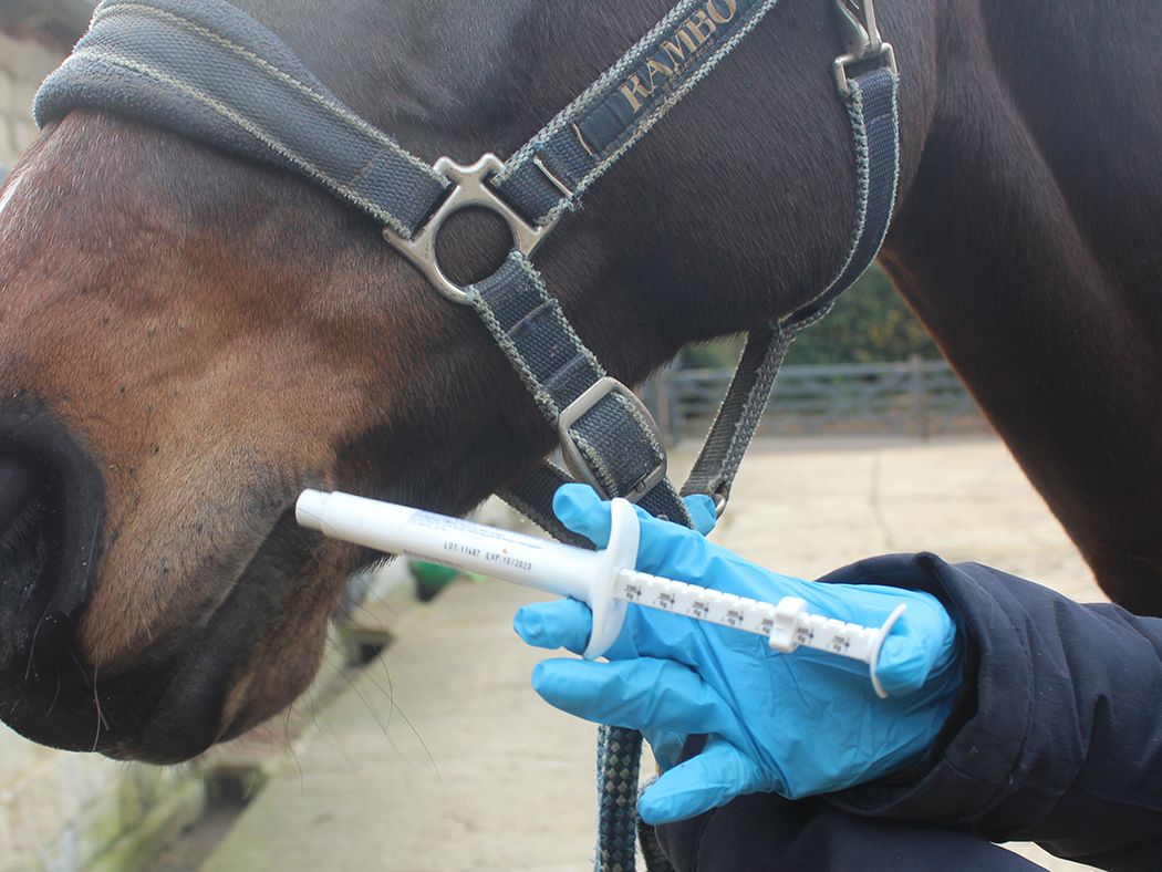 We must change how we worm our horses before it is too late, say experts