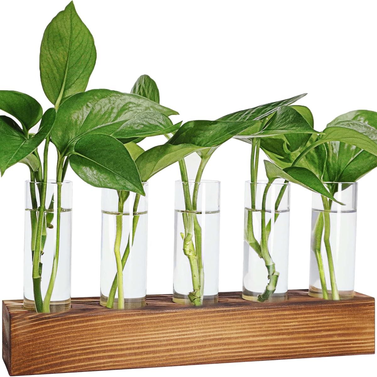 Renmxj Plant Propagation Station, Plant Terrarium With Wooden Stand, Plants Pots for Hydroponics, Small Birthday Gardening Gifts for Women Mom Plants Lovers Unique - 5 Glass Test Tubes Vases