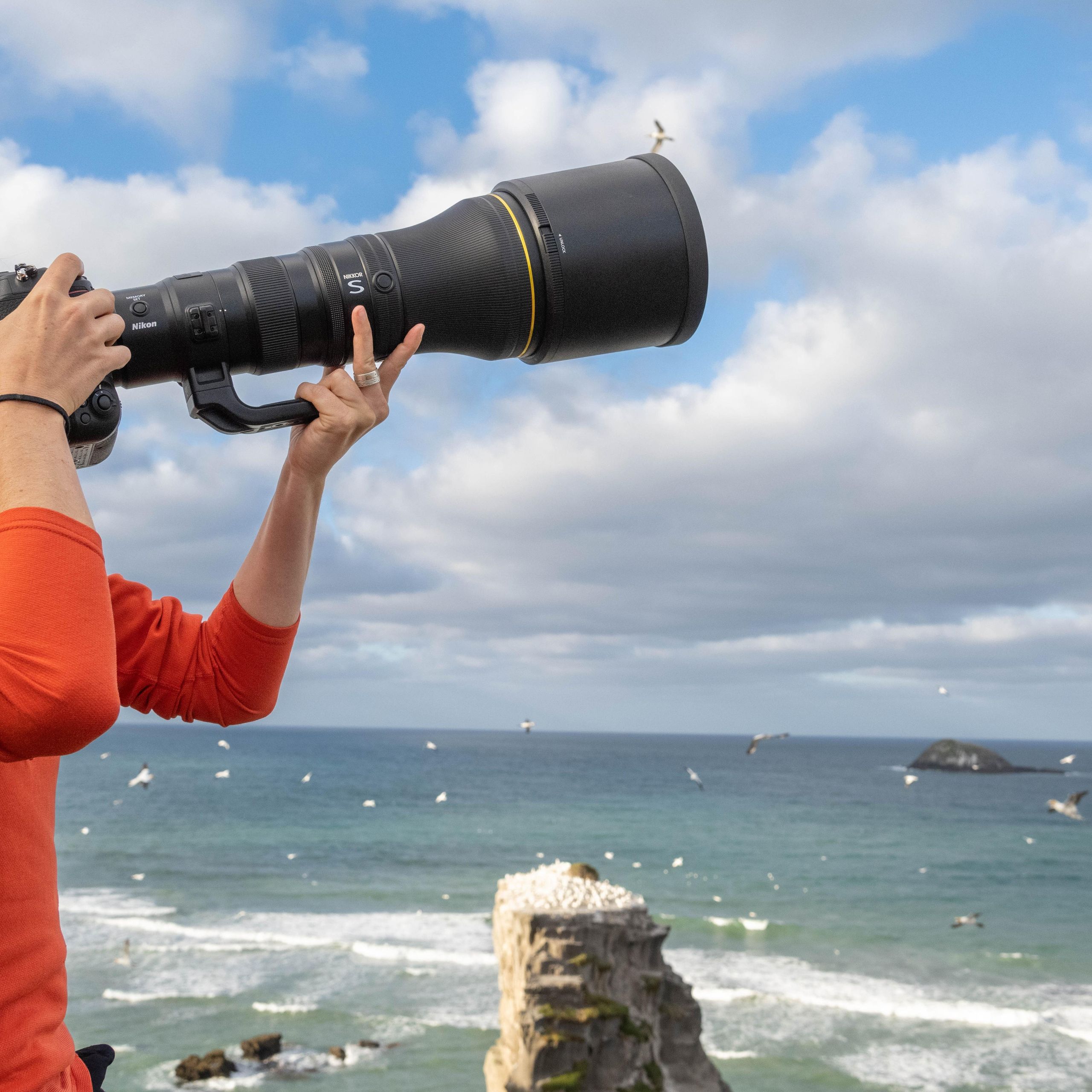 Sample images: see the monster Nikon Z 800mm f/6.3 VR S lens in