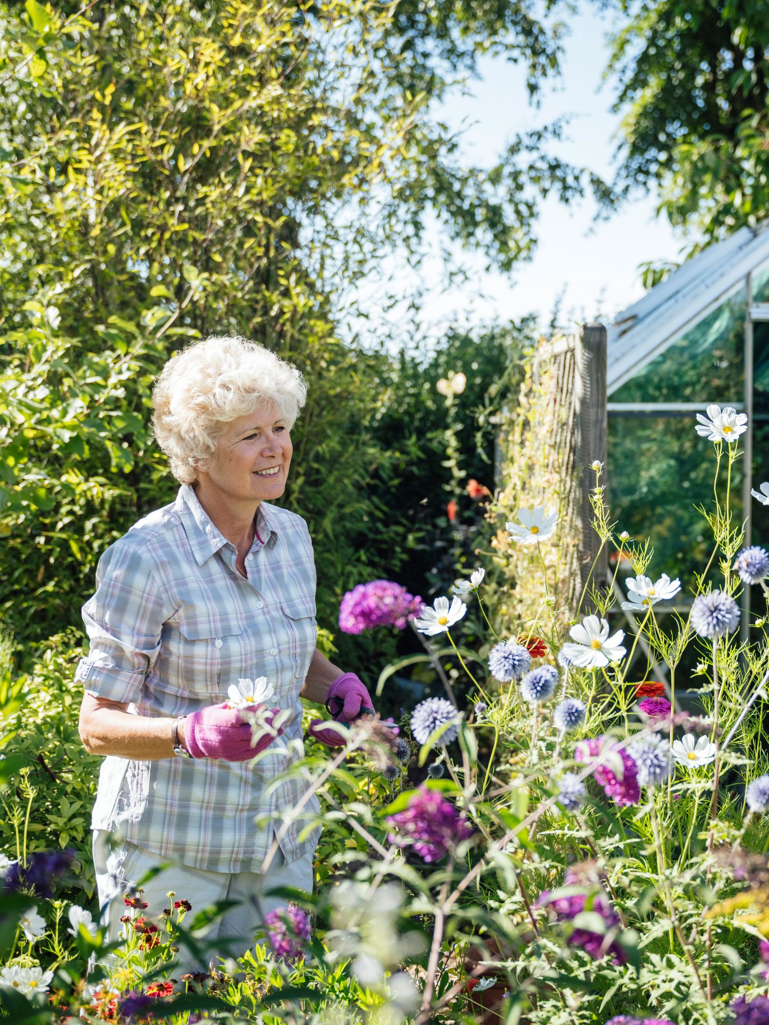 Caucasian woman in early 60s pleased with summer growth of flowering plants in her backyard English garden.