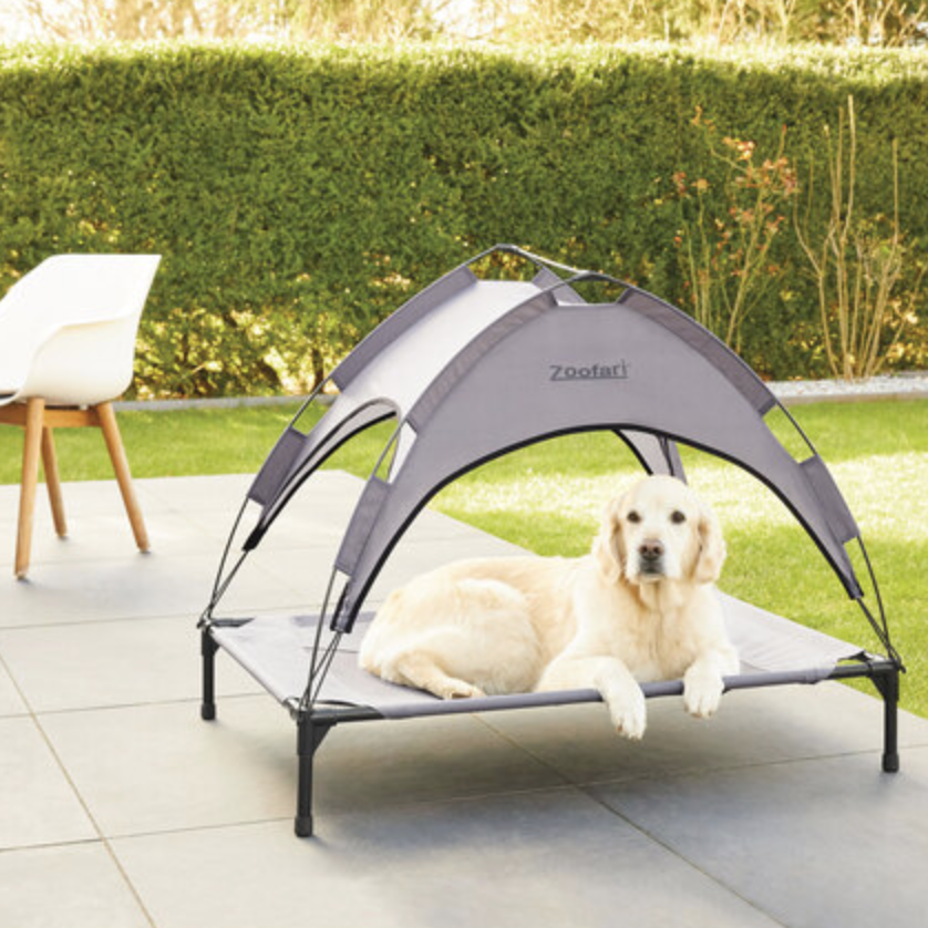 Pet Supplies Zoofari Dog Bed With Shade Bedsure Comfy Pet Elevated - Main Image