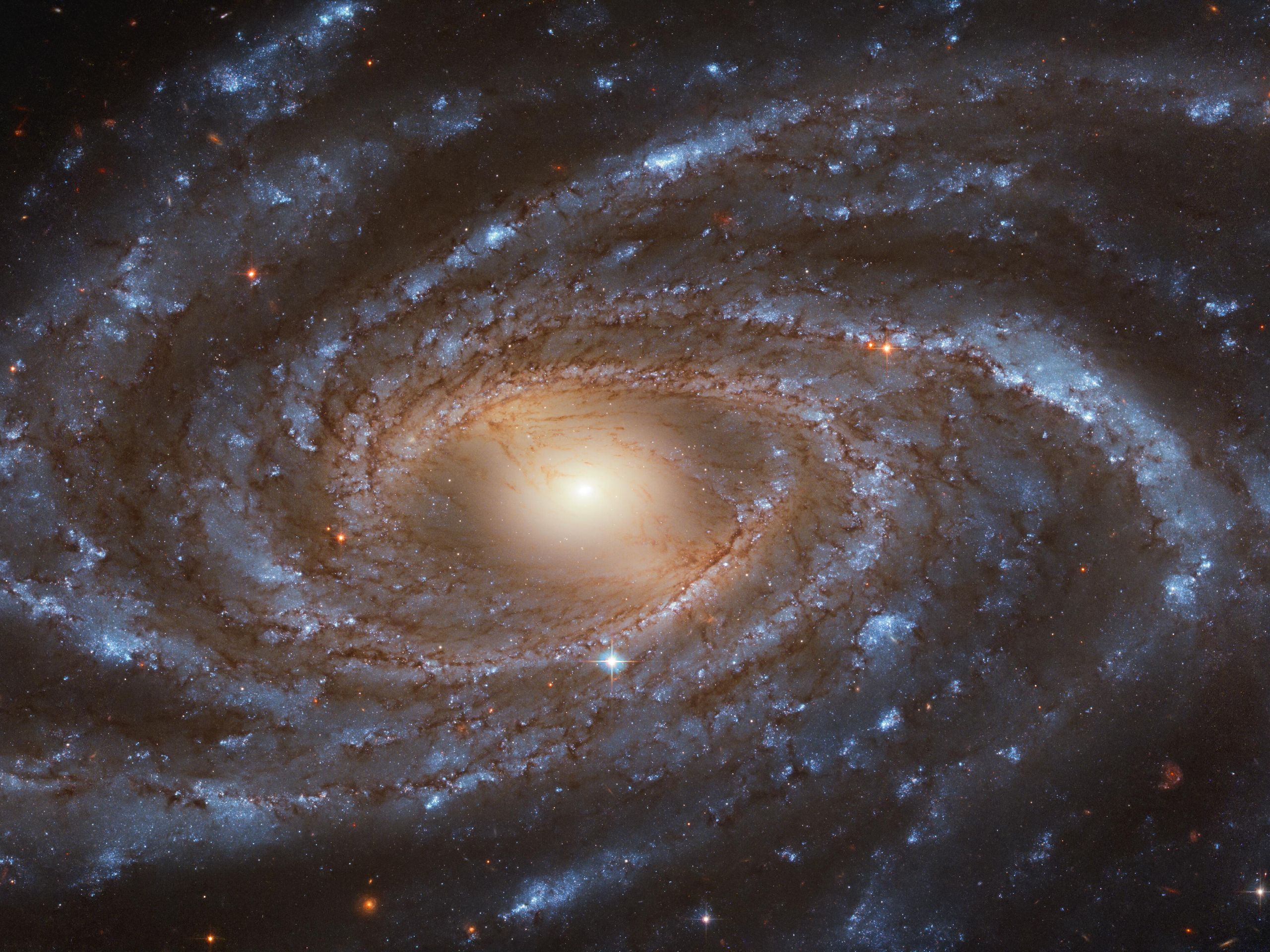 Stunning Hubble image shows a big galaxy full of blue stars | Space