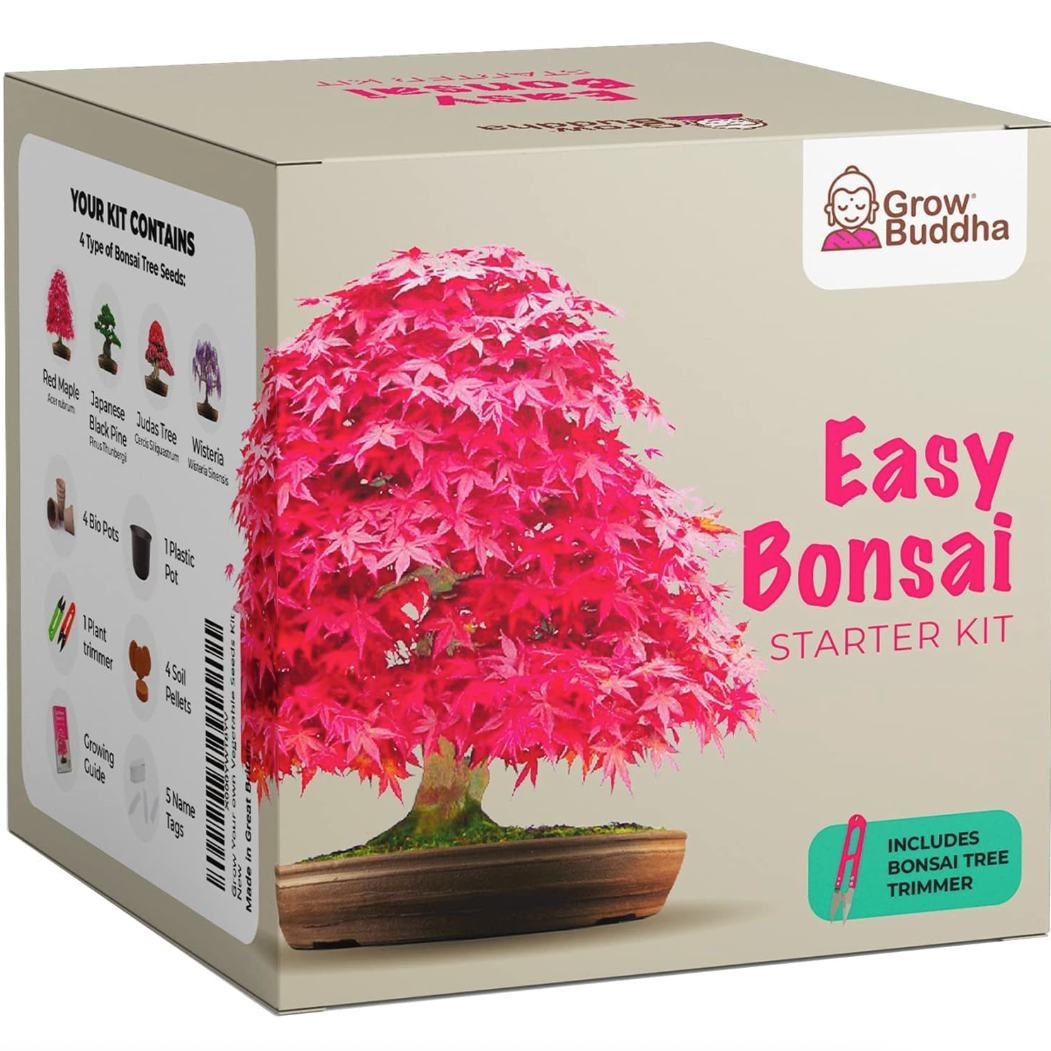 Grow Your Own Bonsai Tree From Seed - Grow Buddha Easy Bonsai Starter Kit