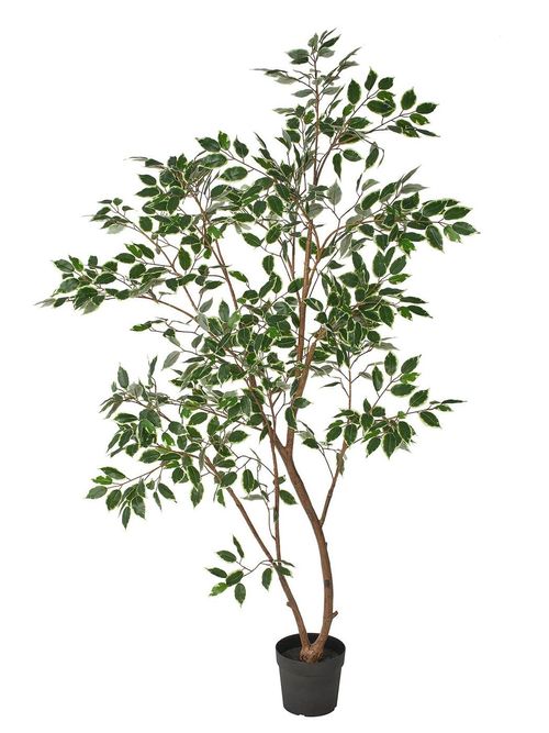 FEJKA Artificial Potted Weeping Fig