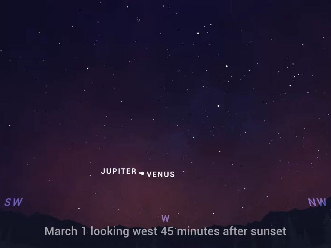 ASTRO Venus 3形態セット 未開封