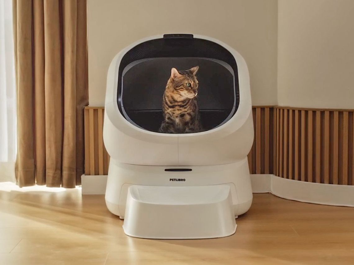 Jak obstawiać rogi w Robo Cat Casino – poradnik