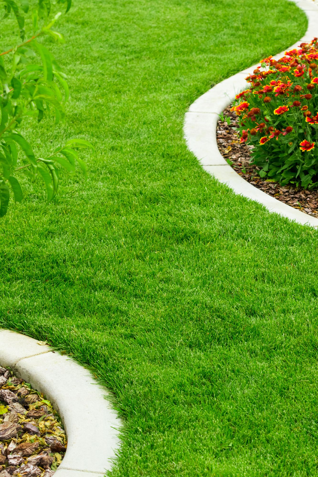 Lush lawn with border garden